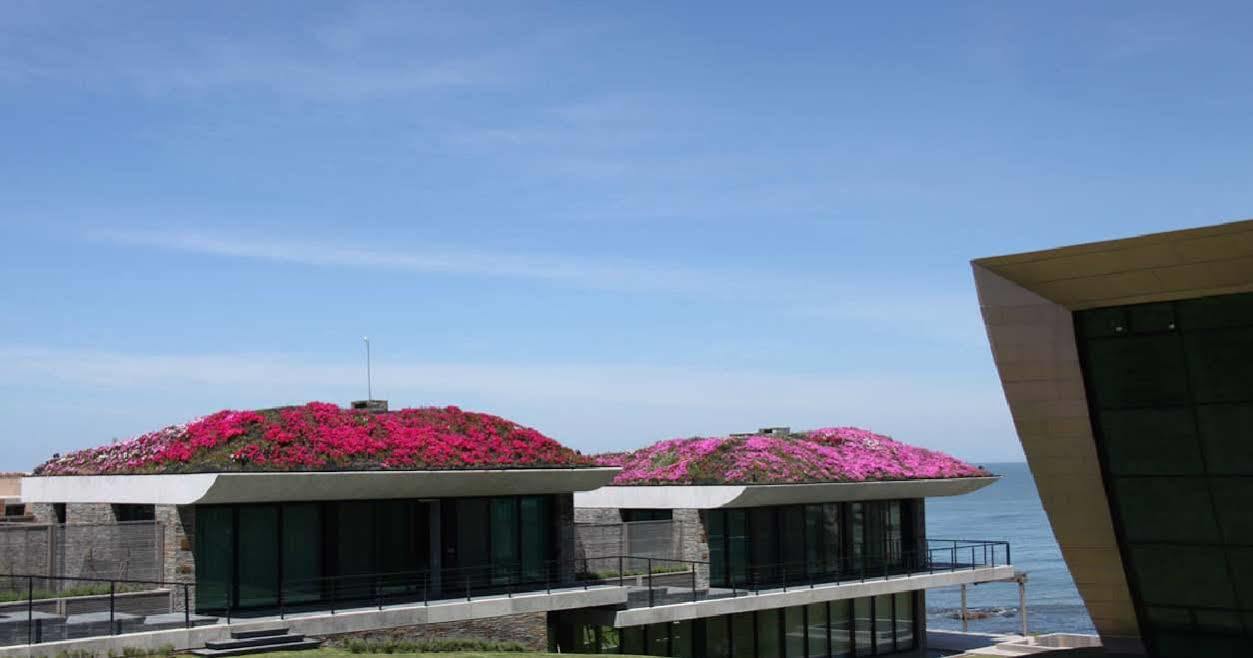 Playa Vik Jose Ignacio Villa Bagian luar foto